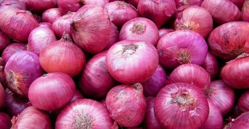 Fresh Onion (Pyaaz) Contains Rich Antioxidants, Vitamins And Minerals