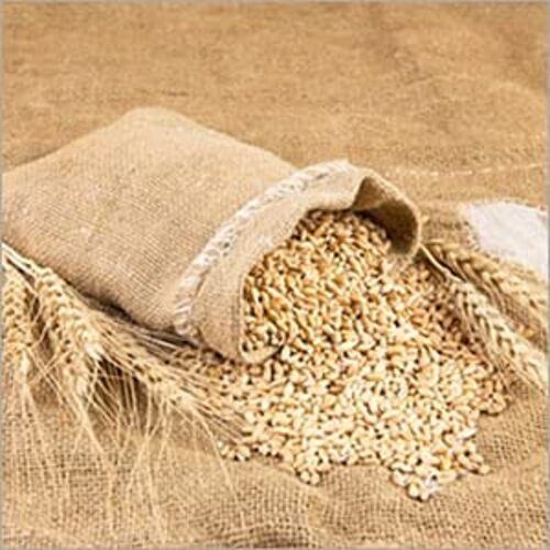 A Grade Wheat Grain