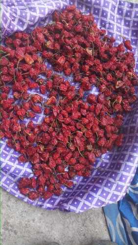 Natural Dry Dalla Chilli For Food Spices From Darjeeling Himalayan Regions