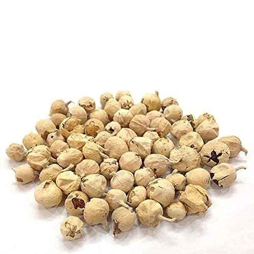 Organic Paneer Doda Seed - Medicine Grade, Vegetarian Anti-Diabetic Herb with 6 Months Shelf Life | Sweet Fruits For Milk Coagulation and Diuretic Benefits