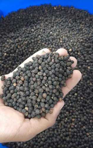 A Grade 100% Pure and Natural Fresh Whole Black Pepper for Cooking