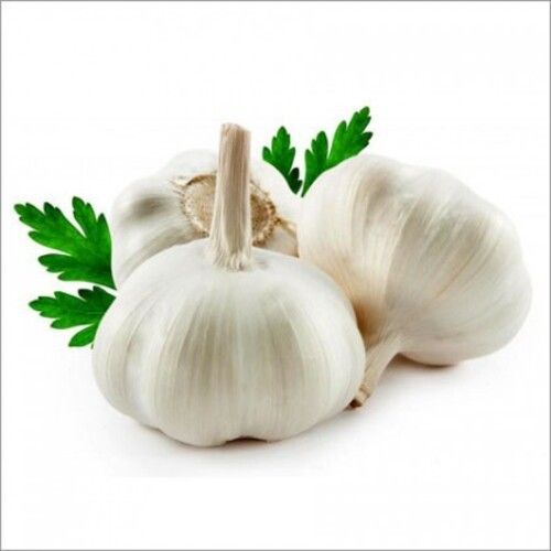 Antioxidant Nutrients Rich Natural Fine Taste Healthy White Fresh Garlic