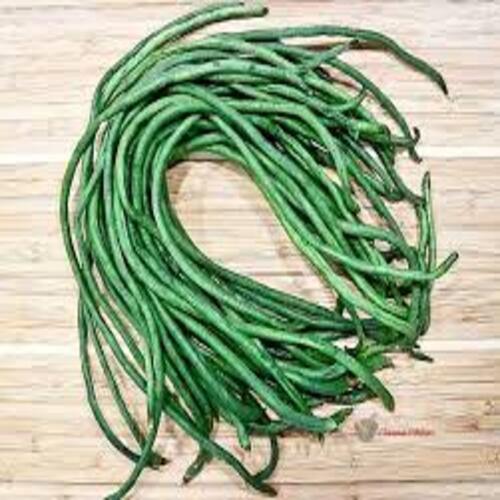 Healthy Natural Taste Organic Green Fresh Long Beans Origin: India