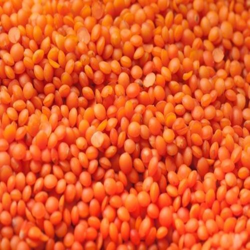 Iron 18 Percent Easy To Cook Rich in Protein Natural Taste Dried Red Masoor Dal