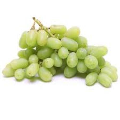 Juicy Rich Delicious Natural Taste Healthy Organic Green Fresh Grapes