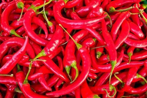 Magnesium 5 Percent Spicy Natural Taste Rich in Color Fresh Red Chilli