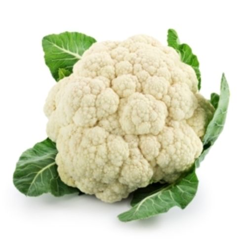 Maturity 80 Percent Rich Natural Taste Healthy White Organic Fresh Cauliflower