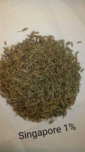 Preservative Free Cumin Seeds Grade: Singapore 99%