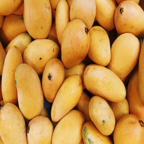 Sweet Delicious Rich Natural Taste Healthy Yellow Fresh Mango