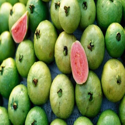 Total Carbohydrate 14g Sweet Delicious Rich Natural Taste Healthy Green Fresh Guava