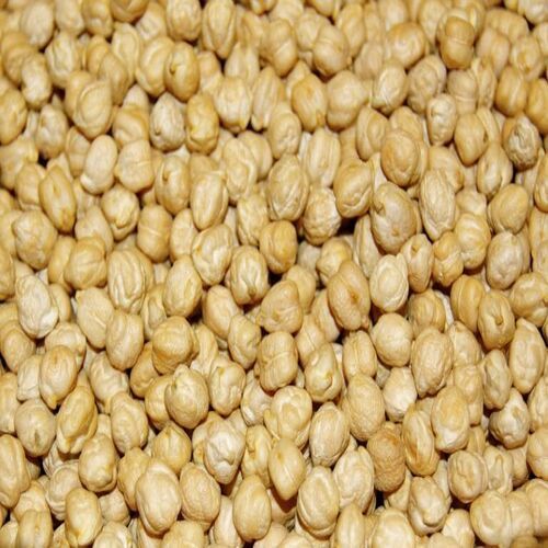 Total Fat 6g Natural Taste Rich Protein Healthy Dried White Chickpeas