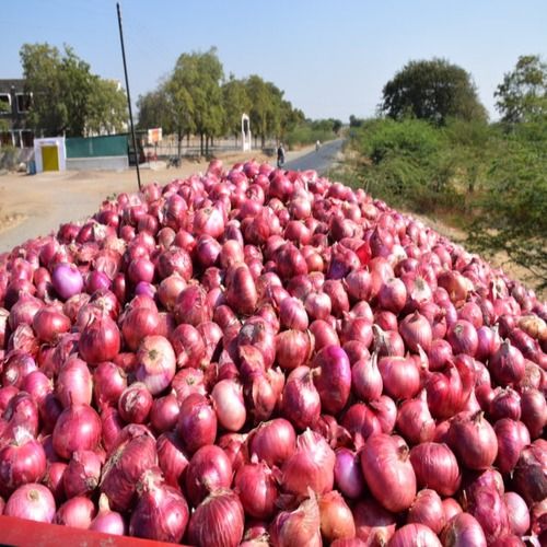 100% Natural Organic Farm Fresh Red Onion For Human Consumption