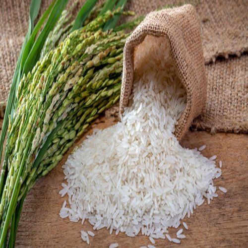 100% Pure Organic Farm Fresh White Medium Grain Rice For Cooking