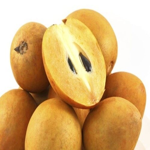 Rich Delicious Sweet Natural Fine Taste Healthy Brown Fresh Sapota