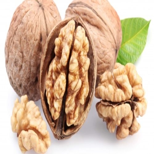 Rich Protein Fine Delicious Healthy Natural Taste Brown Walnuts