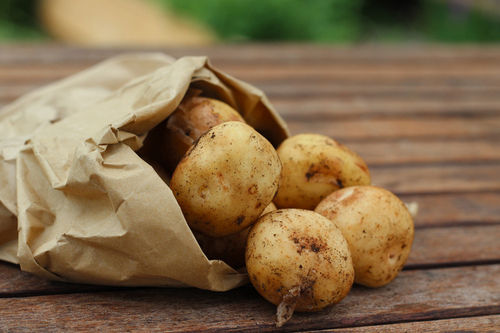 Round A Grade 100% Farm Fresh And Organic Potatoes For Cooking And Chips