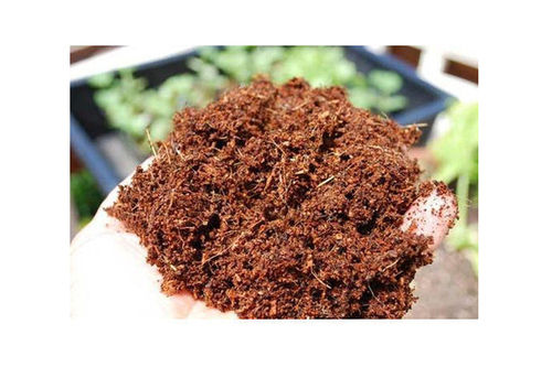 Agriculture Use Dark Brown Coconut Fresh Coir Pith for Plant Growth