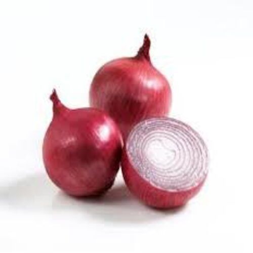 Enhance The Flavor Rich Healthy Natural Taste Fresh Red Onion