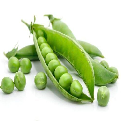 Rich in Vitamin Delicious Healthy Natural Taste Fresh Green Peas