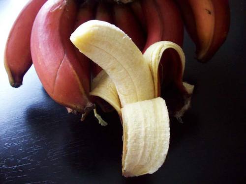 Chemical Free Absolutely Delicious Rich Natural Taste Healthy Fresh Red Banana Origin: India