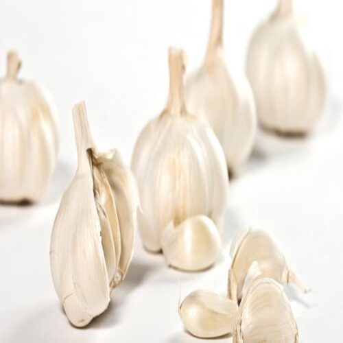 Chemical Free No Artificial Color Natural Rich Taste White Fresh Garlic