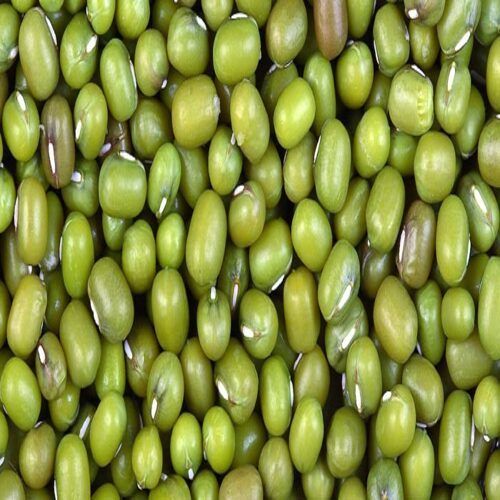 Easy to Cook Rich in Protein Natural Taste Dried Green Whole Moong Dal