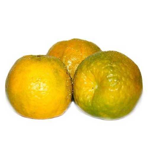 Common And Natural Nagpur Yellow And Green Orange Fruit For Snack And Juice Making