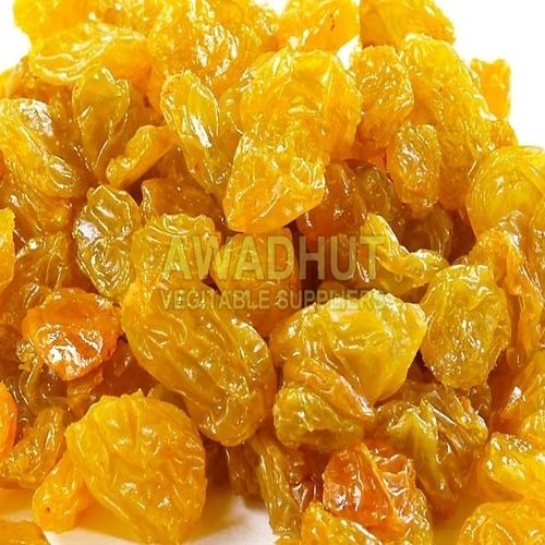 Rich Nutrition Healthy Natural Delicious Sweet Taste Dried Golden Raisins
