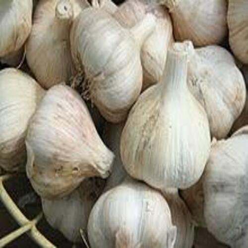 Chemical Free No Artificial Color Natural Rich Taste Healthy White Fresh Garlic
