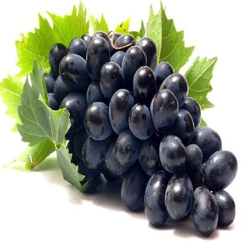 Chemical Free No Artificial Color Sweet Delicious Taste Fresh Black Grapes