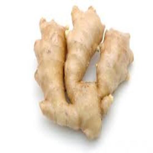 Fine Rich Healthy Natural Taste Chemical Free Brown Fresh Ginger