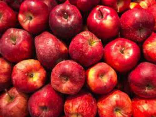 Good For Health High In Nutrition And Minerals No Pesticides Fresh Apple