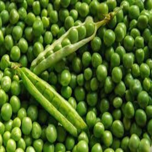 No Artificial Color Chemical Free Healthy Natural Taste Fresh Green Peas
