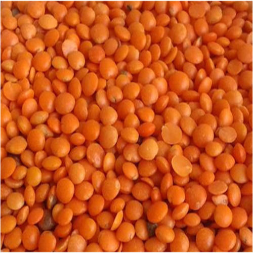 Easy To Cook Rich Protein Natural Taste Organic Dried Red Masoor Dal Grain Size: Standard