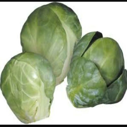 Round & Oval Floury Texture Healthy Rich Natural Fine Taste Green Fresh Cabbage