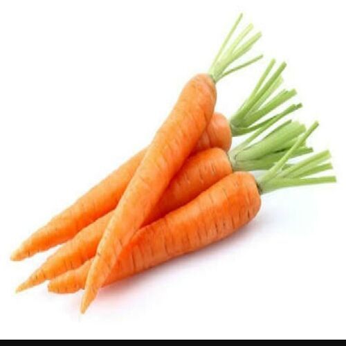 Healthy Natural Rich Taste High Fiber Organic Orange Fresh Carrot