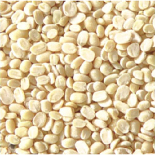 Healthy Natural Taste Rich in Protein Dried White Urad Dal