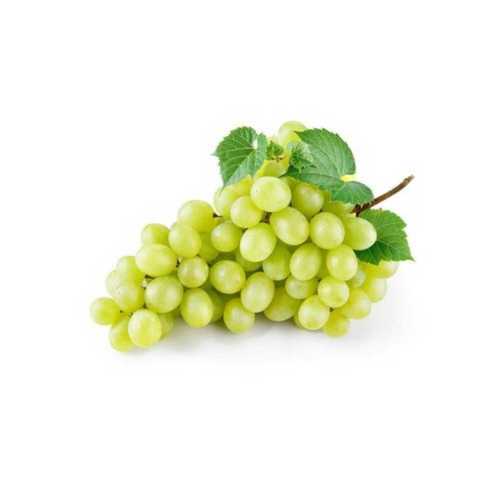 Red Human Consumption Common And Natural Fresh Green Grapes Good For Health