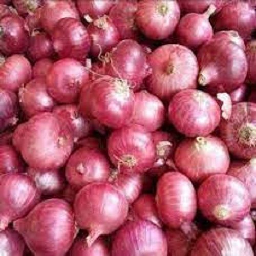 Naturally Grown Organic Fresh Red Onion For Cooking Moisture (%): 63