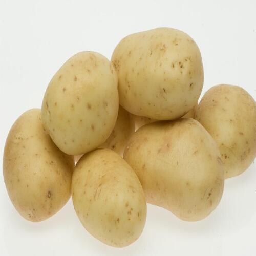 Round & Oval Mild Flavor Chemical Free Rich Natural Delicious Taste Brown Fresh Potato