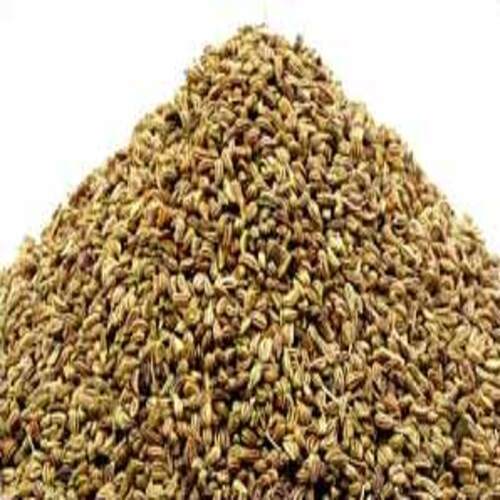 No Artificial Color Fine Natural Taste Healthy Dried Green Fennel Seeds