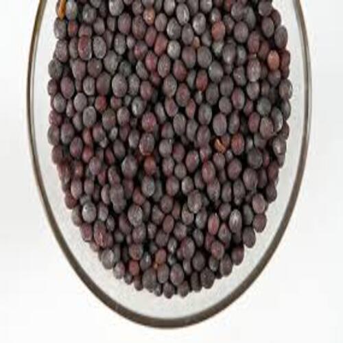 Healthy Natural Rich Fine Taste Chemical Free Black Mustard Seeds