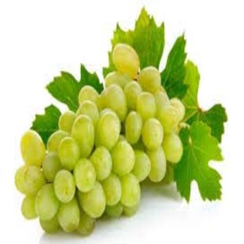 Green Juicy Rich Delicious Natural Taste Chemical Free Healthy Fresh Grapes