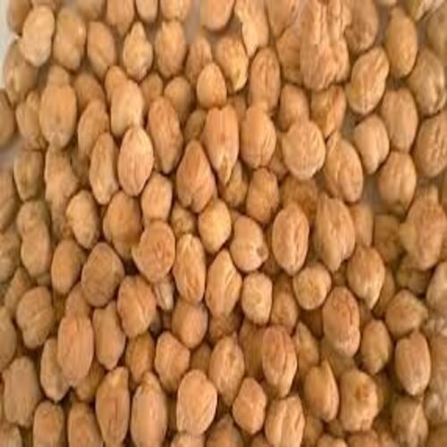 Rich Protein Delicious Natural Rich Taste Healthy Dried White Chickpeas Grain Size: Standard