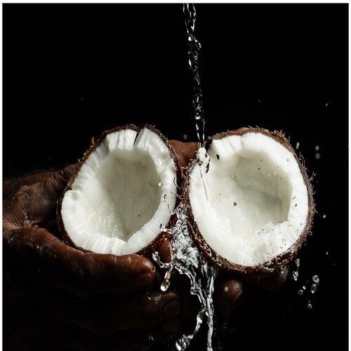 Brown A Grade Round Shape, 100% Natural Husked Coconut With Longer Shelf Life