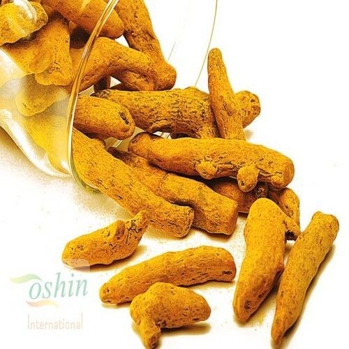 Antioxidant Chemical Free Rich Natural Taste Dried Yellow Turmeric Finger