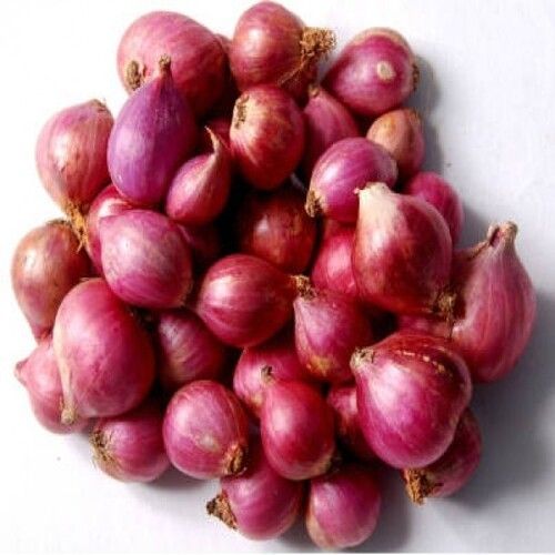 Enhance The Flavor Rich Healthy Natural Taste Small Red Fresh Onion