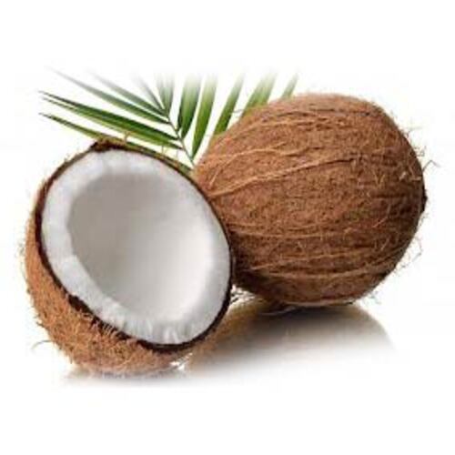  अशुद्धियों से मुक्त प्राकृतिक समृद्ध स्वाद स्वस्थ भूरा ताजा नारियल