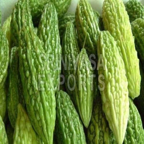 Floury Texture Healthy Natural Rich Taste Green Fresh Bitter Gourd