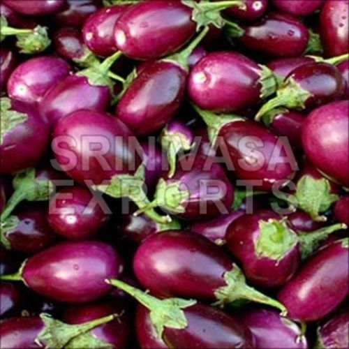 Healthy Delcious Natural Rich Fiber Fine Taste Purple Fresh Brinjal